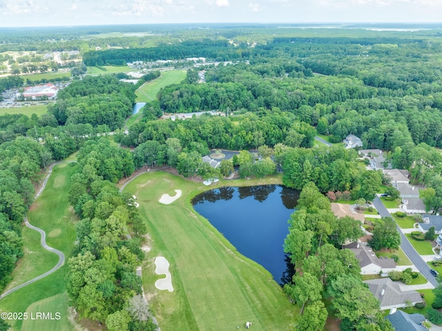 4 Tybee Island Ct, Bluffton, SC 29910 - photo 65