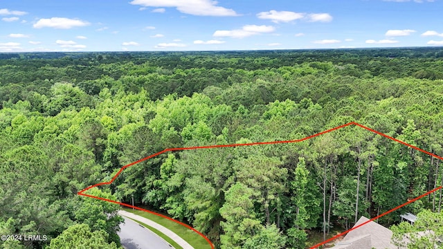 421 Hampton Lake Dr, Bluffton SC, 29910 land for sale