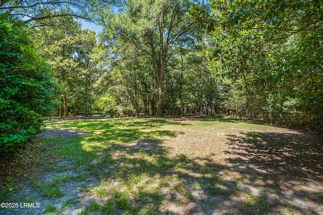 3508 Morgan River Dr S, Beaufort, SC 29907 - photo 47