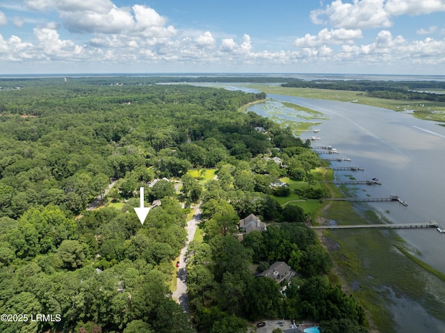 3508 Morgan River Dr S, Beaufort, SC 29907 - photo 58