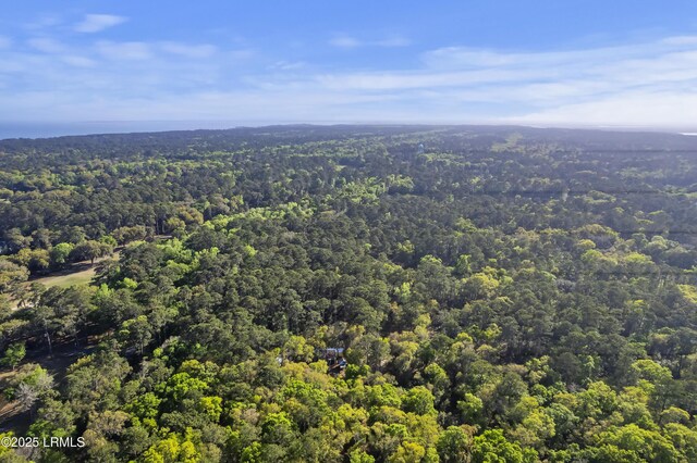 16 Turtles Pace Ln, Daufuskie Island, SC 29915 - photo 52