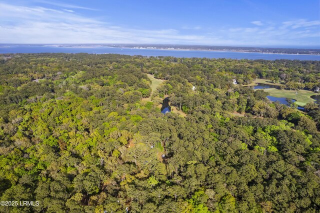 16 Turtles Pace Ln, Daufuskie Island, SC 29915 - photo 58