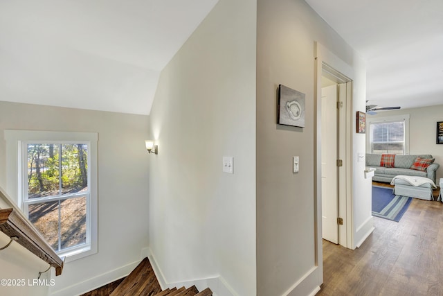 hallway featuring vaulted ceiling, hardwood / wood-style floors, and a wealth of natural light