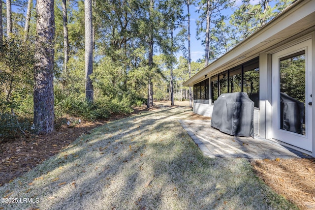 view of yard featuring a patio area