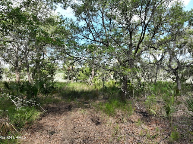 Listing photo 2 for 39 Net Menders Loop, Saint Helena Island SC 29920