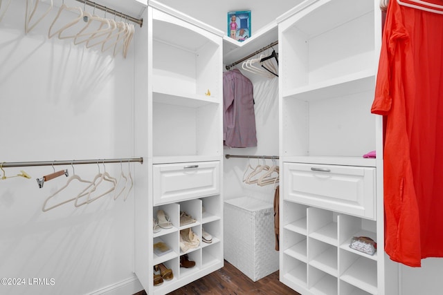 walk in closet featuring dark hardwood / wood-style flooring