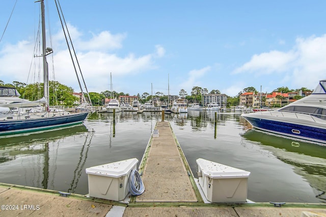 dock area with a water view