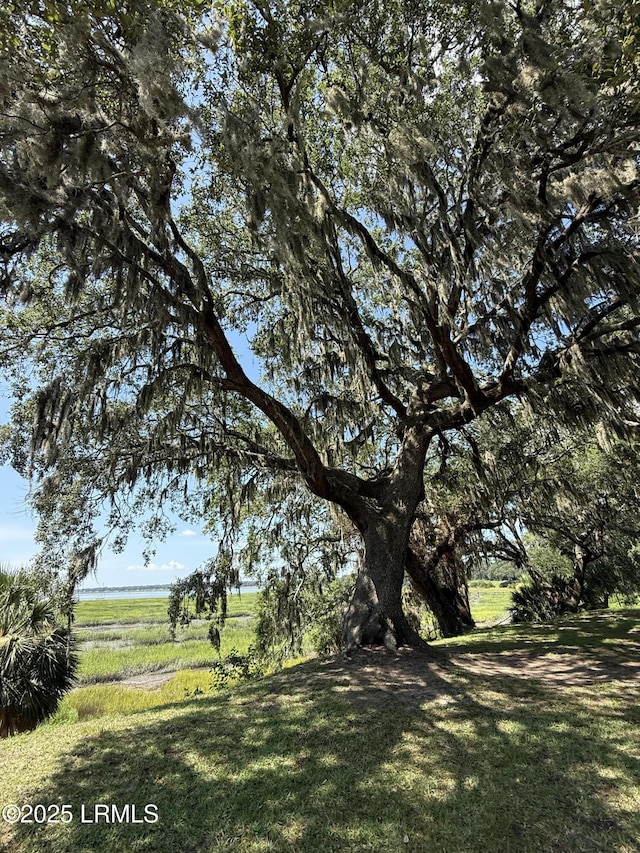 513 Ribaut Rd, Beaufort, SC 29902 - photo 32