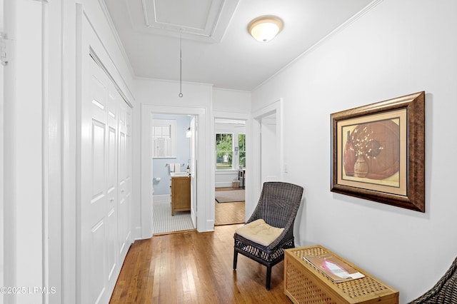513 Ribaut Rd, Beaufort, SC 29902 - photo 27