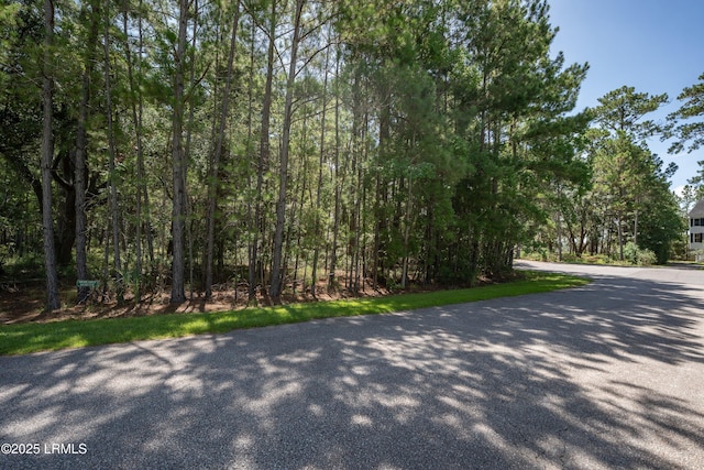 3 Turnstone Dr S, Beaufort, SC 29907 - photo 3