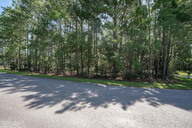 3 Turnstone Dr S, Beaufort, SC 29907 - photo 5