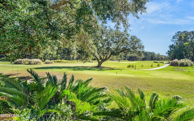 surrounding community with a lawn