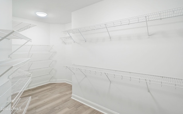walk in closet with hardwood / wood-style floors