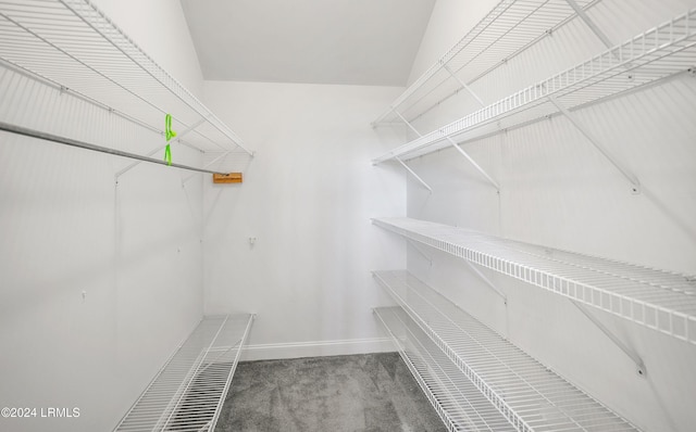 spacious closet with vaulted ceiling and carpet