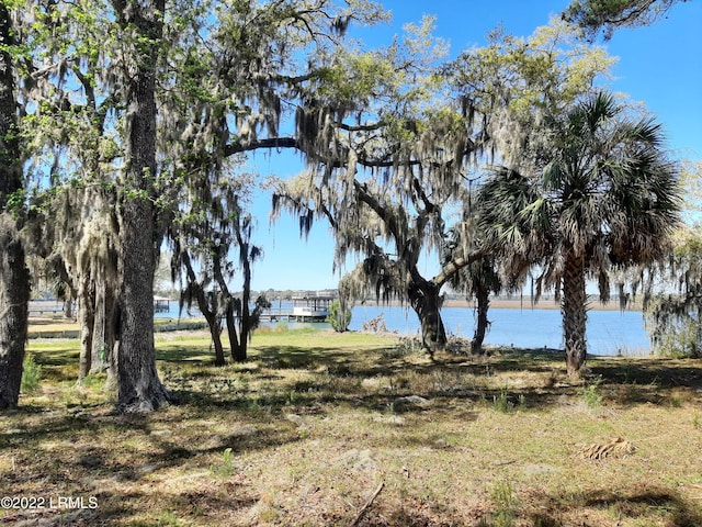 view of yard with a water view