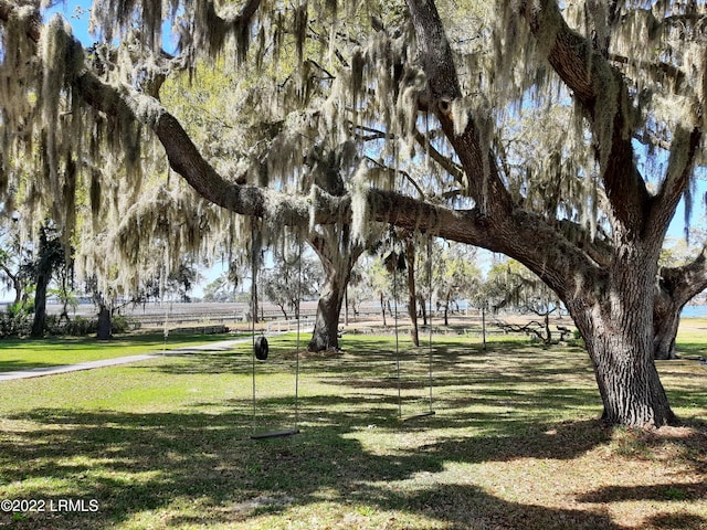 view of home's community with a yard