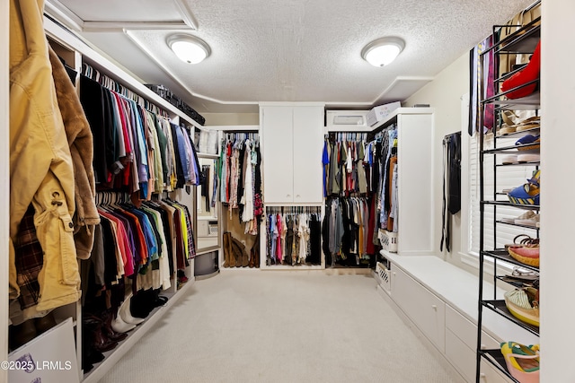 spacious closet featuring carpet floors