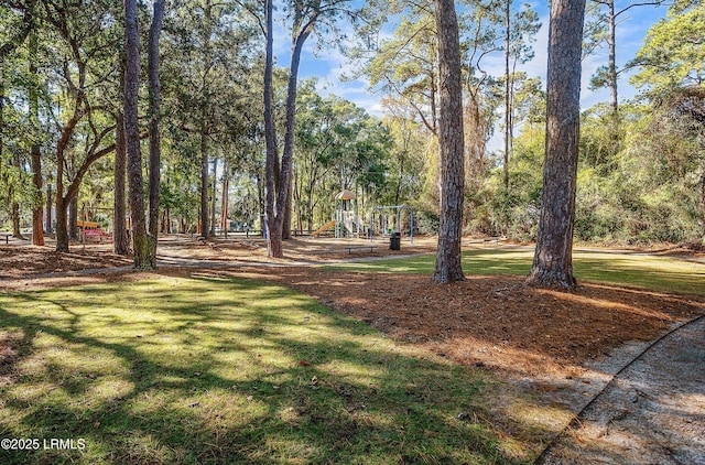 view of yard with a playground