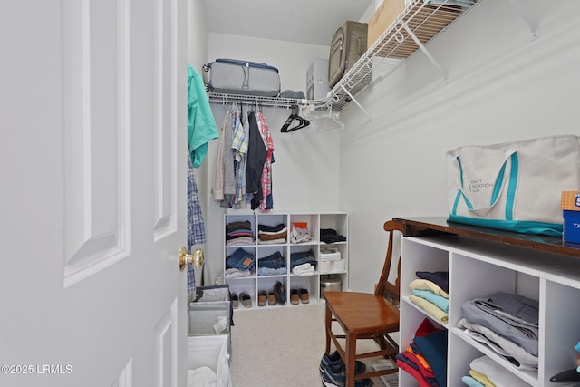 19 Brisbane Dr, Beaufort, SC 29902 - view of walk in closet
