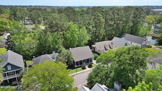 19 Brisbane Dr, Beaufort, SC 29902 - bird's eye view featuring a residential view and a forest view