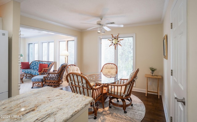 dining space featuring ceiling fan, crown molding, dark wood-type flooring, and a textured ceiling