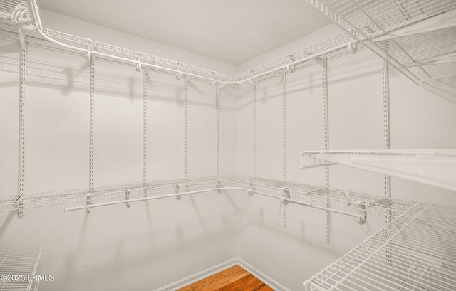 21 Planters Cir, Beaufort, SC 29907 - spacious closet with wood finished floors