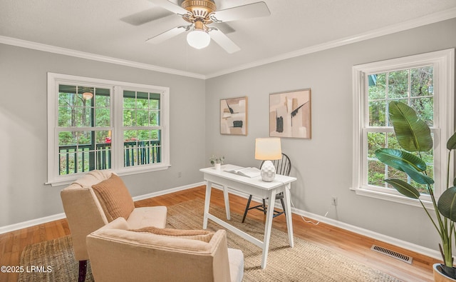 21 Planters Cir, Beaufort, SC 29907 - home office with wood finished floors, ornamental molding, and ceiling fan
