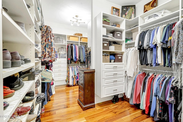 walk in closet with light hardwood / wood-style floors