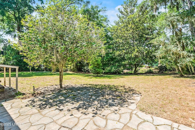 2211 Wilson Dr, Beaufort, SC 29902 - view of grassy yard featuring a patio area and view of scattered trees