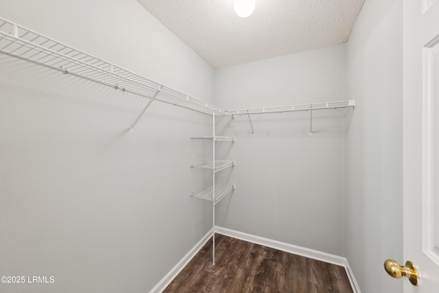 spacious closet with wood finished floors