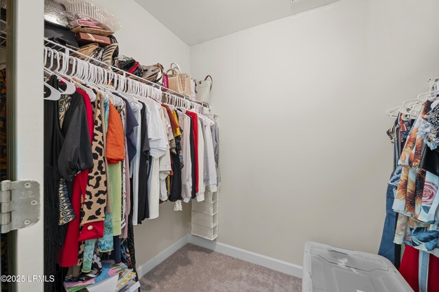 151 Bella Way, Beaufort, SC 29906 - walk in closet with carpet flooring