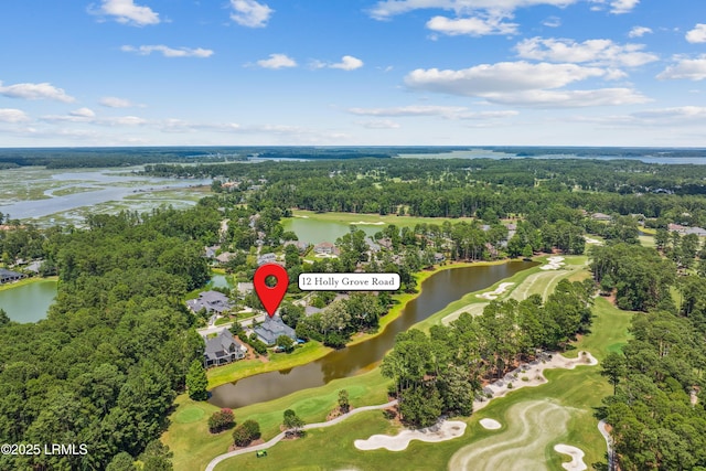 12 Holly Grove Rd, Bluffton, SC 29909 - photo 57