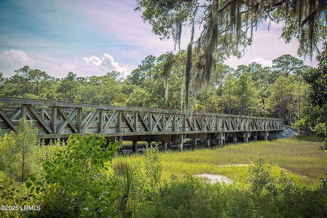 1305 Rowland Dr, Saint Helena Island, SC 29920 - photo 59
