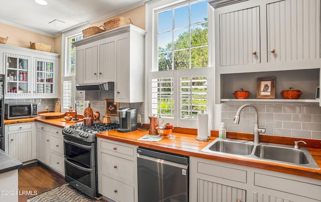 kitchen featuring a healthy amount of sunlight, appliances with stainless steel finishes, and sink