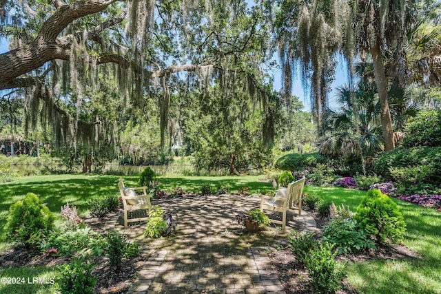 view of community with a yard and a patio