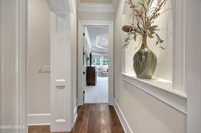 corridor with dark hardwood / wood-style flooring and ornamental molding