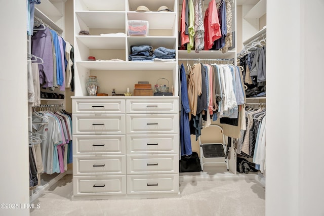 walk in closet with light carpet