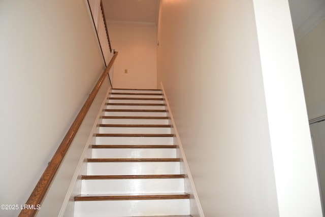 14 Hayek St, Beaufort, SC 29907 - photo 22