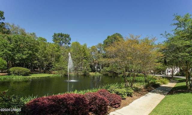 14 Hayek St, Beaufort, SC 29907 - photo 59