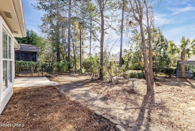 view of yard featuring a patio