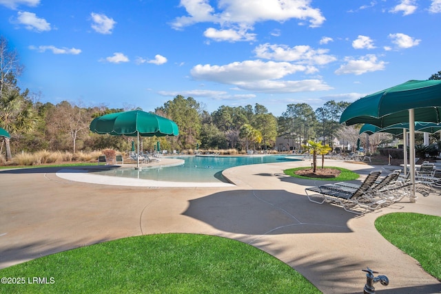 view of swimming pool with a patio