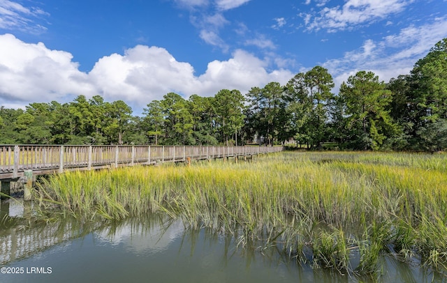 2960 Needlegrass Dr, Beaufort, SC 29902 - view of water feature