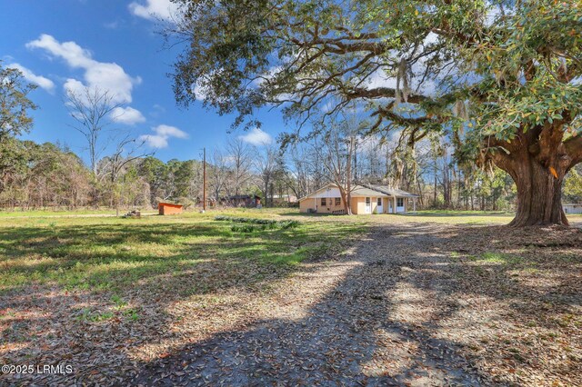 144 Middlefield Cir, Seabrook, SC 29940 - view of yard featuring dirt driveway