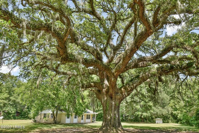 144 Middlefield Cir, Seabrook, SC 29940 - view of yard