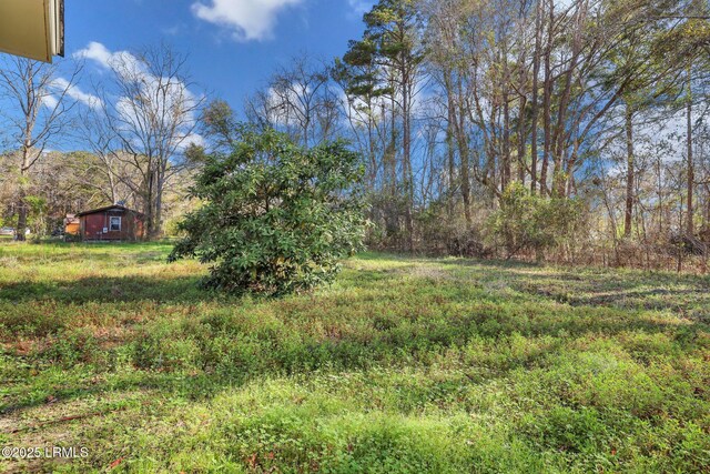 144 Middlefield Cir, Seabrook, SC 29940 - view of yard