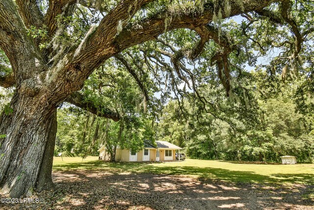 144 Middlefield Cir, Seabrook, SC 29940 - view of yard featuring a view of trees