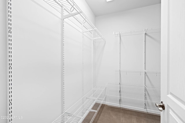 view of spacious closet