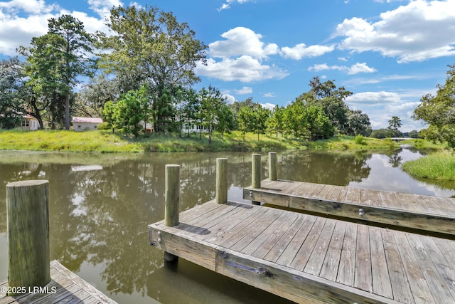 24 Carrier Blf, Bluffton, SC 29909 - photo 82