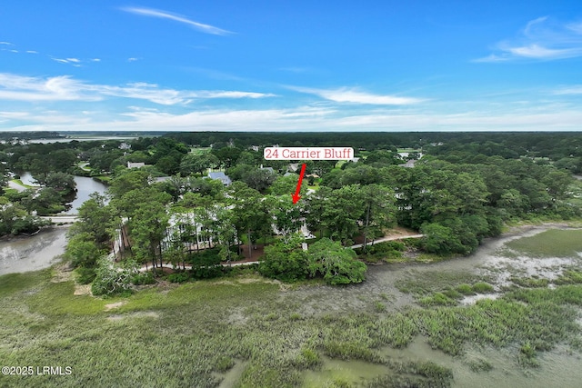 24 Carrier Blf, Bluffton, SC 29909 - aerial view of property's location with a nearby body of water