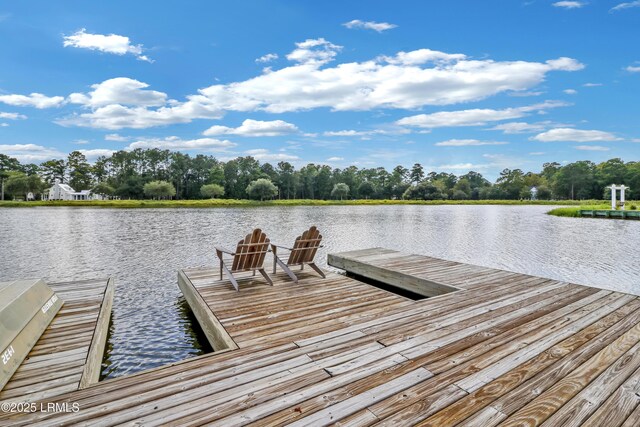 24 Carrier Blf, Bluffton, SC 29909 - photo 84